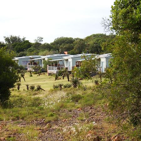 Stoneyvale Cottages Grahamstown Kültér fotó