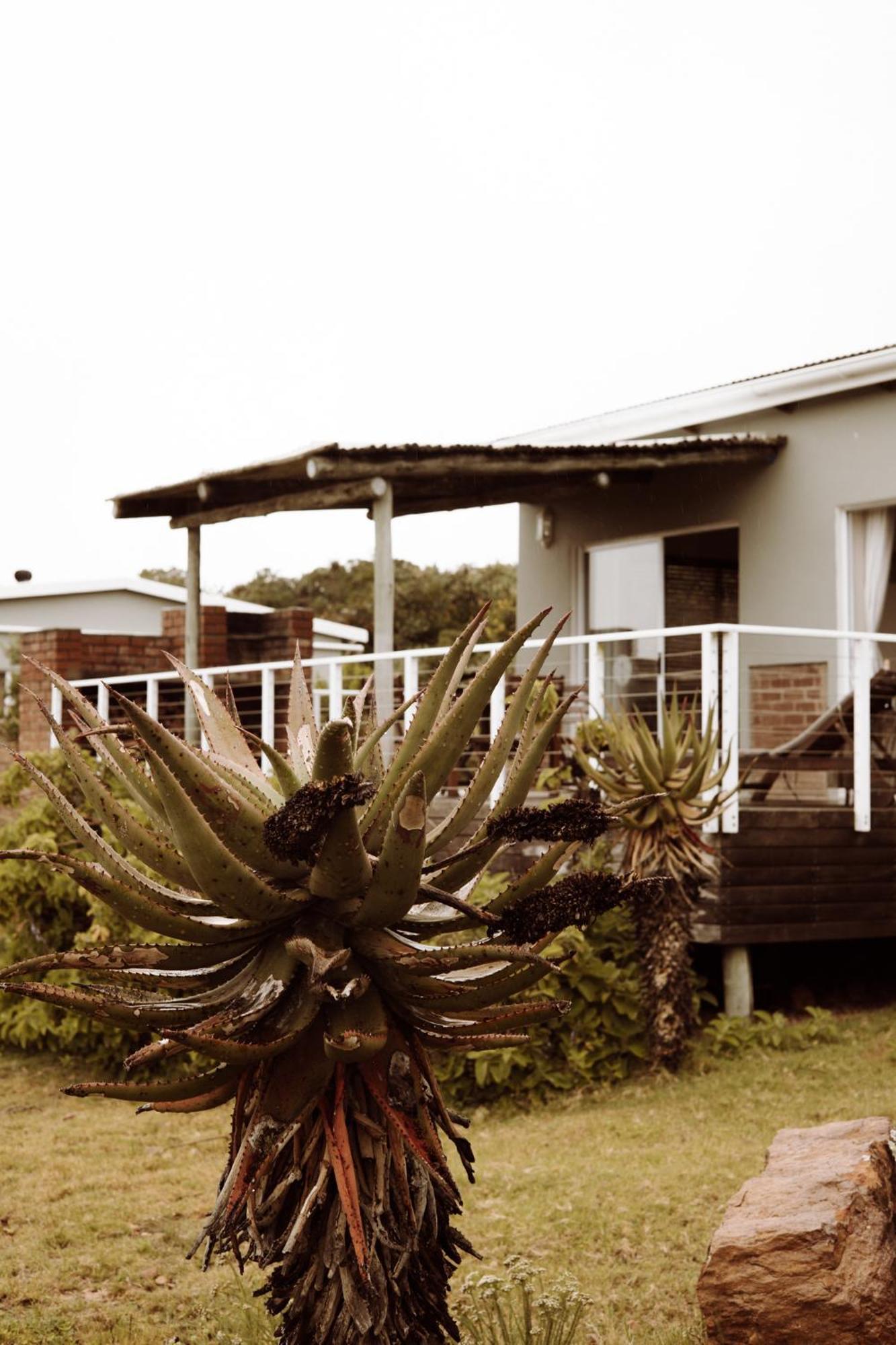 Stoneyvale Cottages Grahamstown Kültér fotó