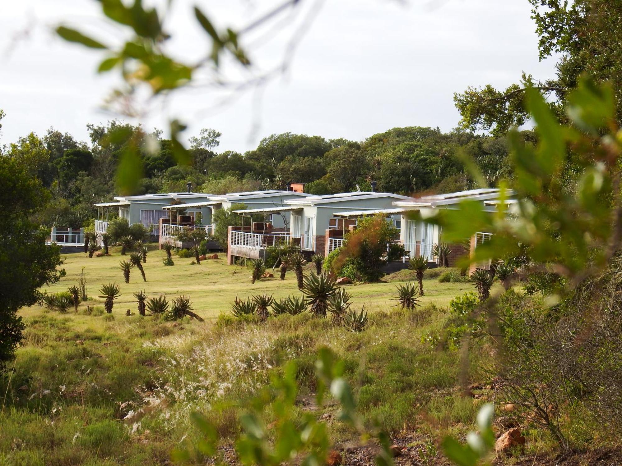 Stoneyvale Cottages Grahamstown Kültér fotó