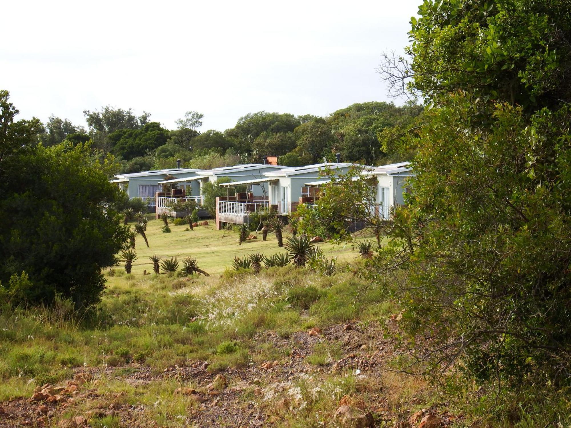 Stoneyvale Cottages Grahamstown Kültér fotó