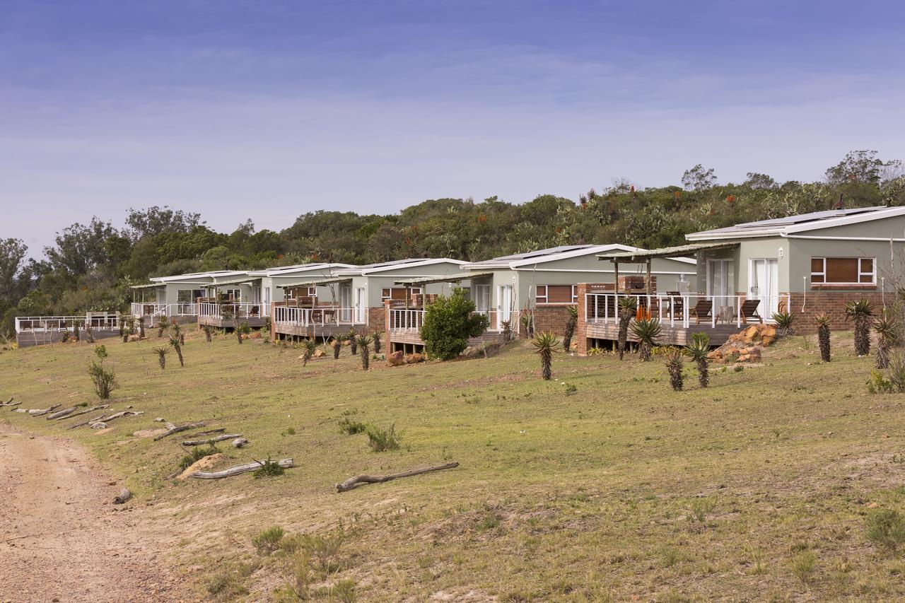 Stoneyvale Cottages Grahamstown Kültér fotó